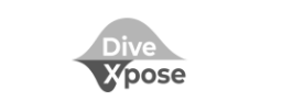 image of portfolio logo